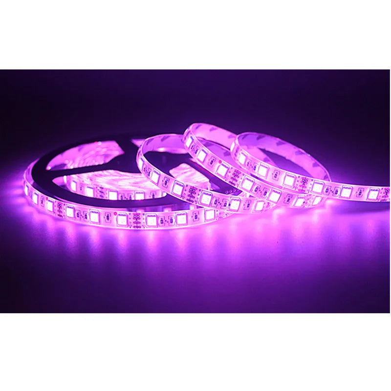 LED Strip 5050 RGB lights 12V Flexible Home Decoration Lighting SMD 5050 Waterproof LED Tape RGB/White/Warm White/Blue/Green/Red