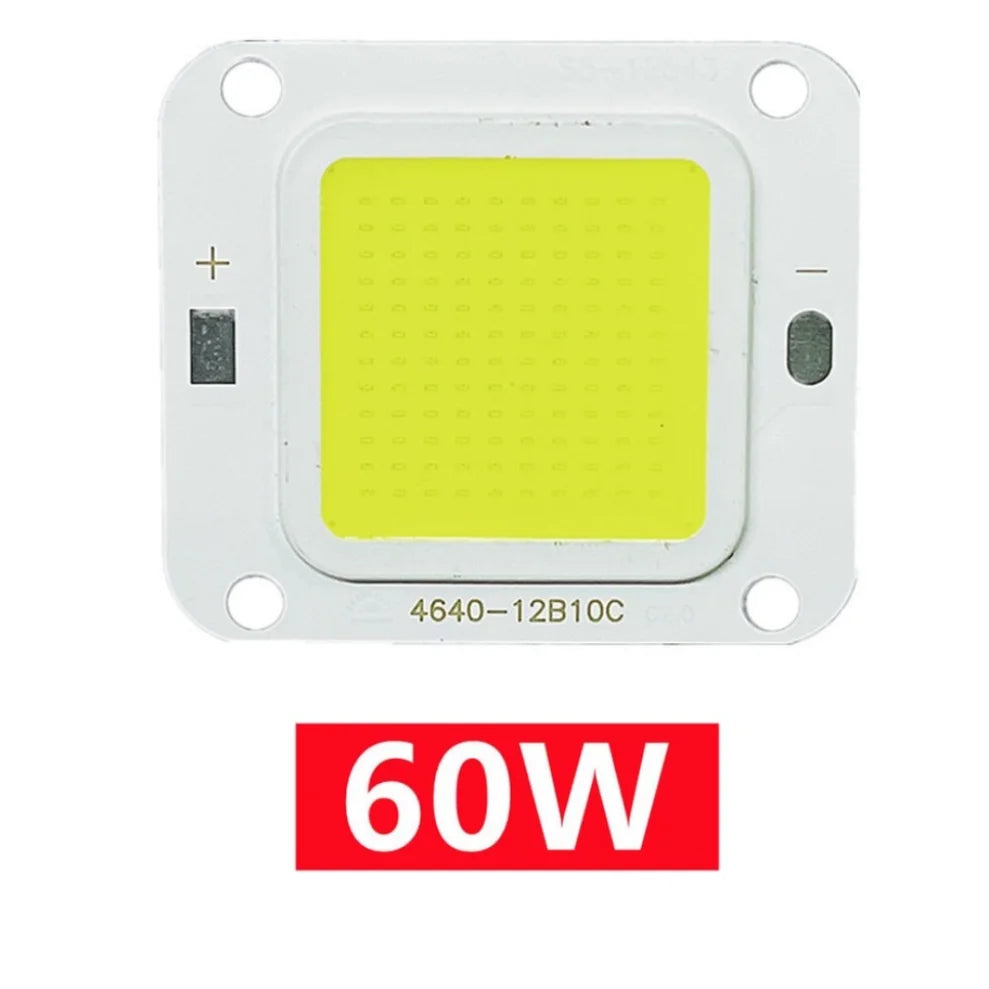 Smart IC No Need Driver LED COB Lamp Bead DC27-36V 10W 50W 60W 70W DIY Flood Light Bulb Outdoor Spotlight Landscape Chip Lamps