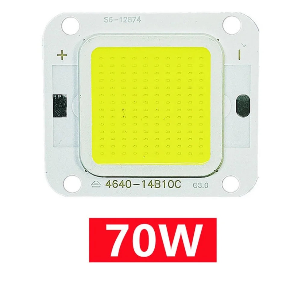 Smart IC No Need Driver LED COB Lamp Bead DC27-36V 10W 50W 60W 70W DIY Flood Light Bulb Outdoor Spotlight Landscape Chip Lamps